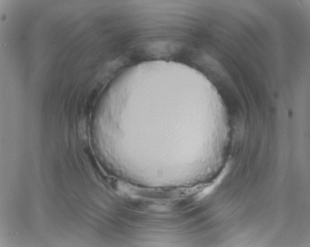 X0000060760182200512082017