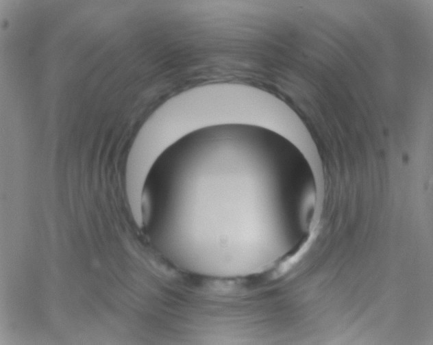 X0000060760187200512082017