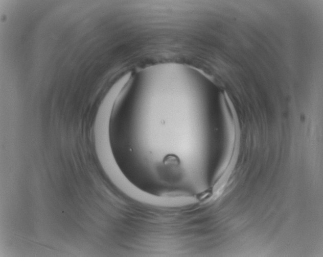 X0000060760188200512082017