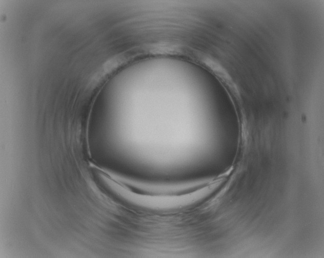 X0000060760201200512082017