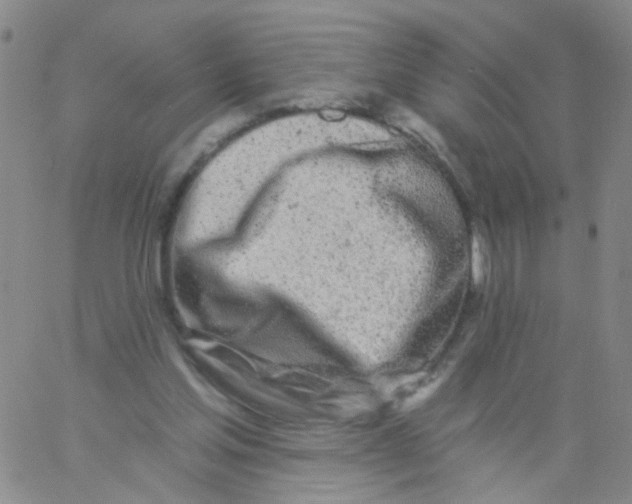 X0000060760205200512082017