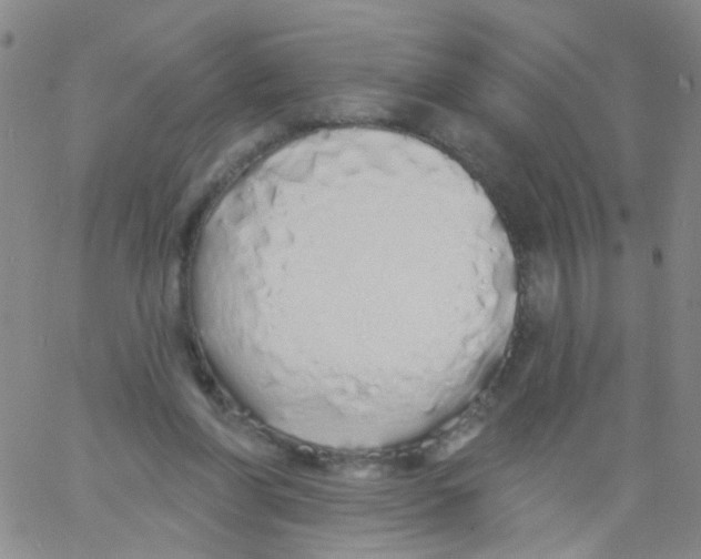 X0000060760206200512082017