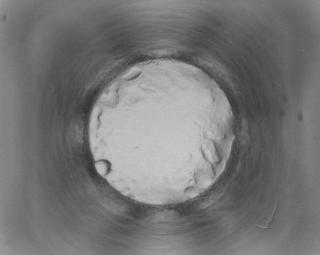 X0000060760210200512082016
