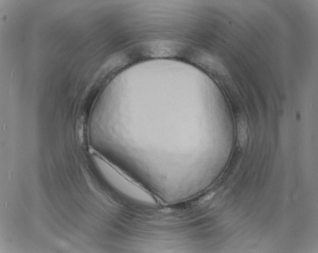 X0000060760214200512082016