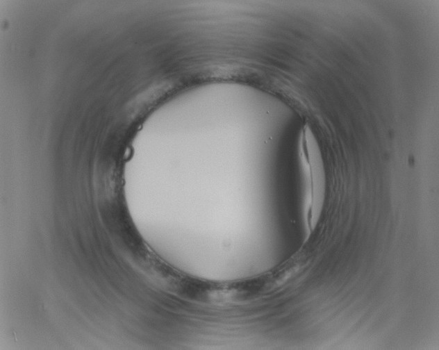 X0000060760216200512082016