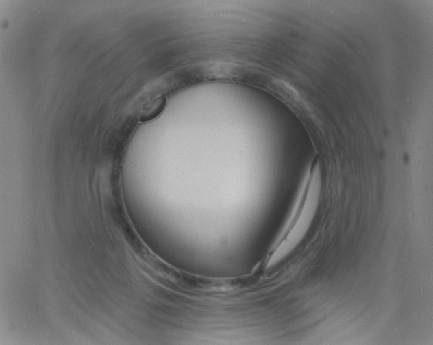 X0000060760217200512082016