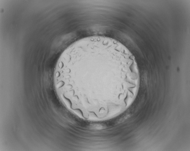 X0000060760218200512082016