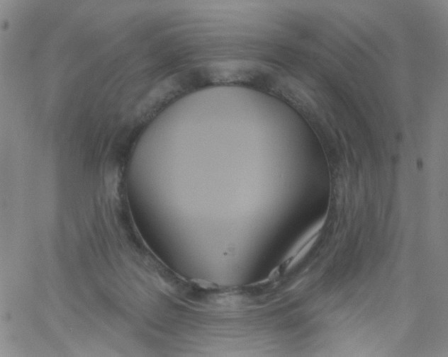 X0000060760219200512082016