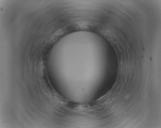 X0000060760223200512082016