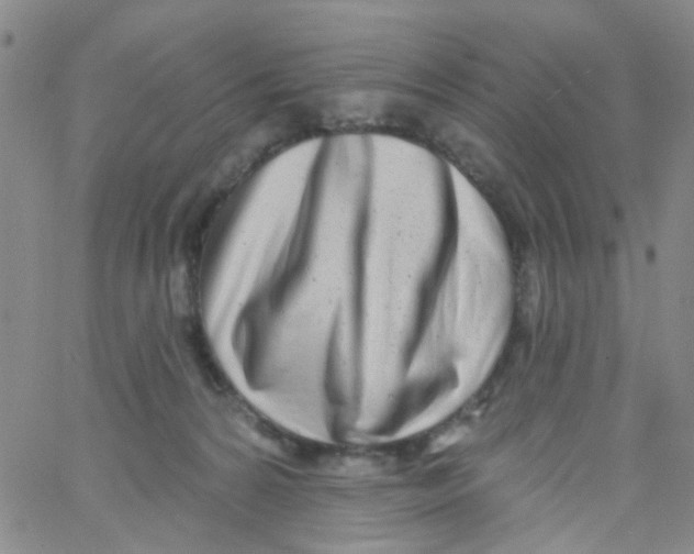 X0000060760224200512082016