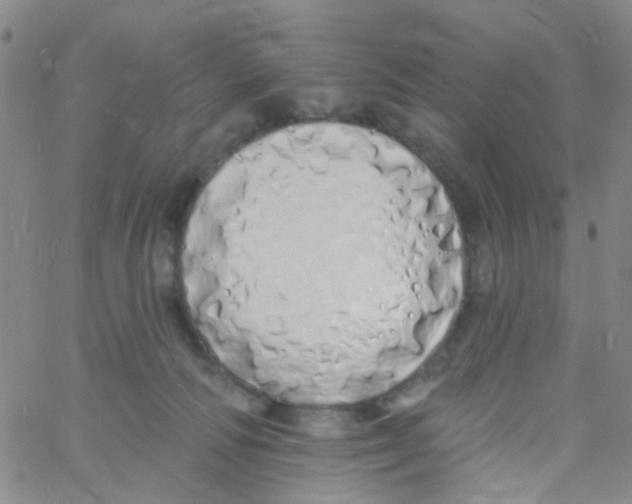 X0000060760226200512082016