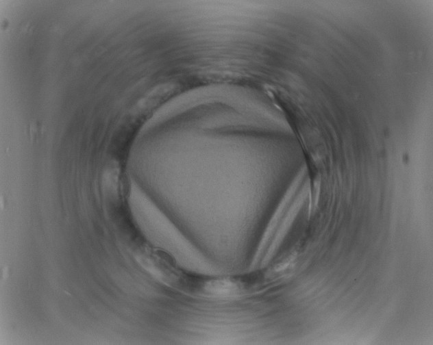 X0000060760231200512082016