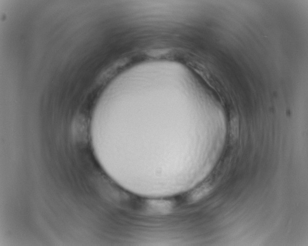 X0000060760234200512082016