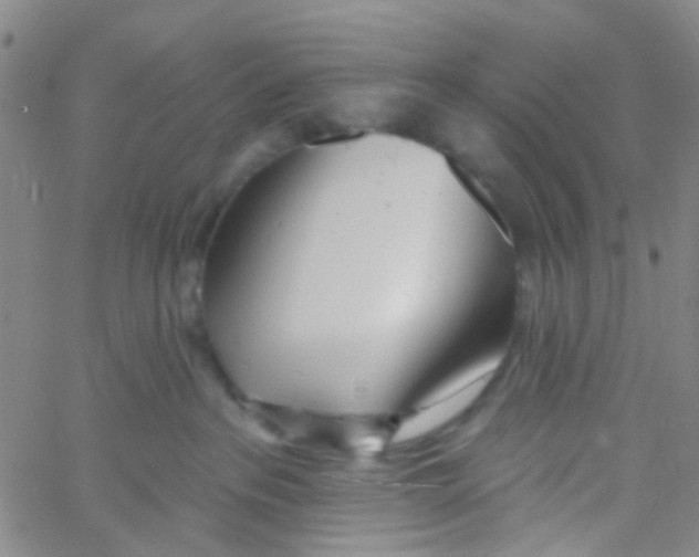 X0000060760237200512082016