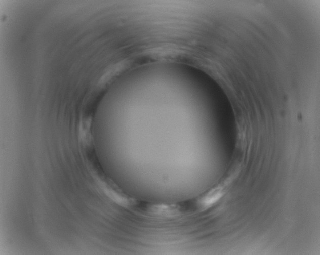 X0000060760239200512082016