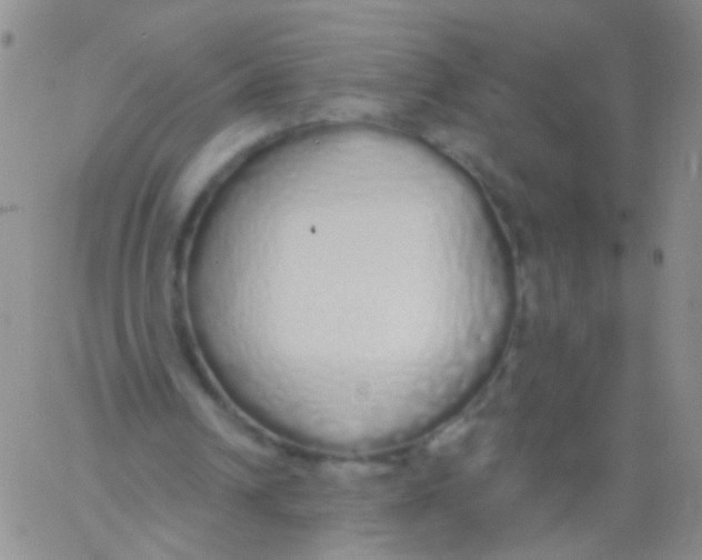 X0000060760242200512082015