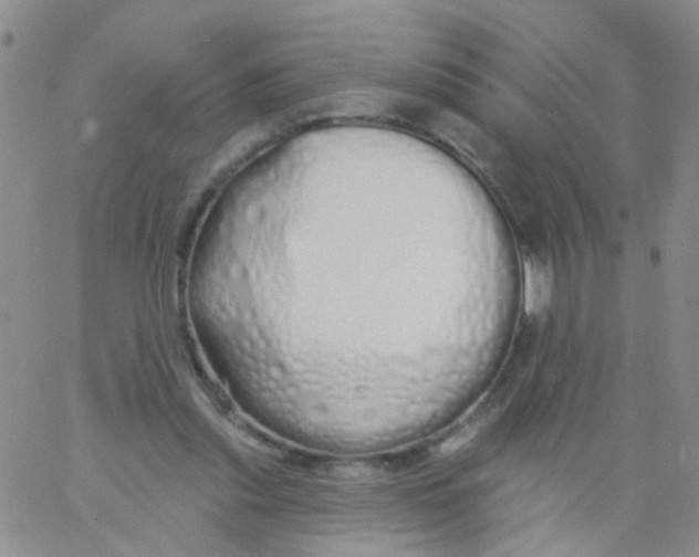 X0000060760253200512082015
