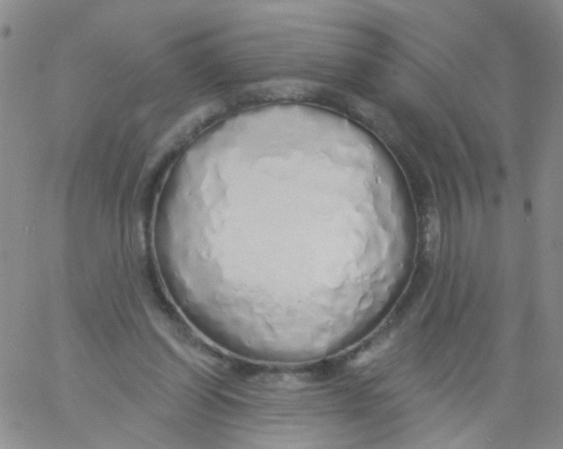 X0000060760254200512082015