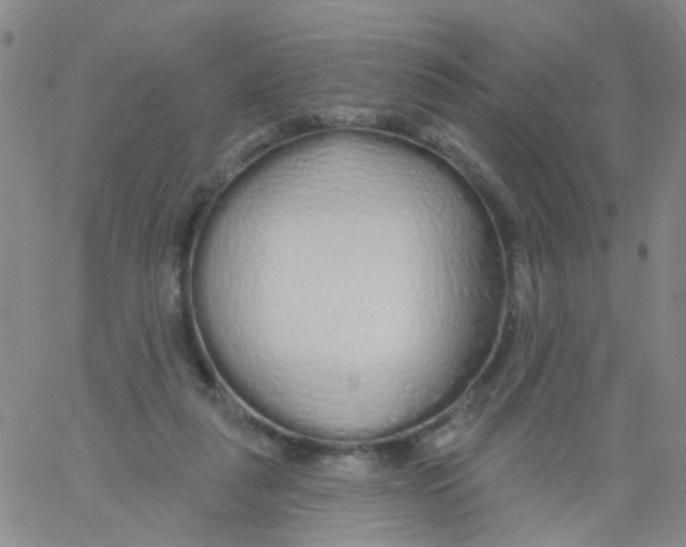 X0000060760259200512082015