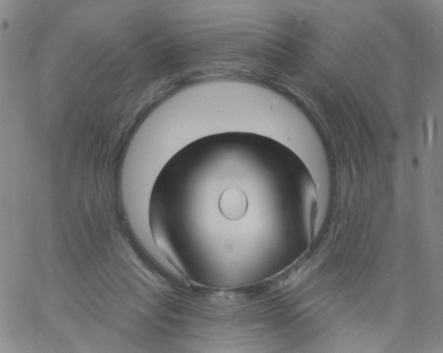 X0000060760261200512082015