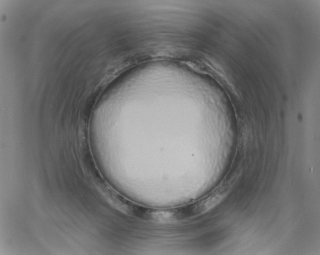 X0000060760265200512082016
