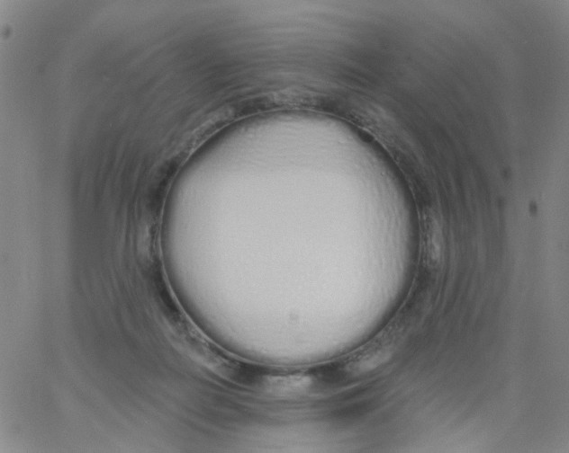 X0000060760266200512082016