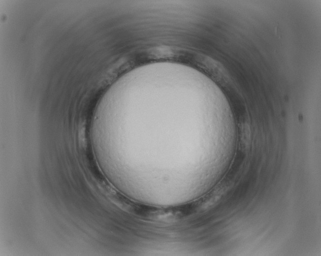 X0000060760267200512082016