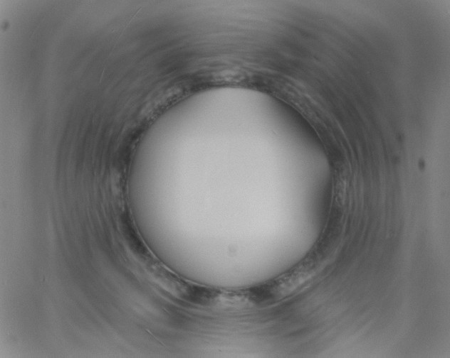 X0000060760270200512082016