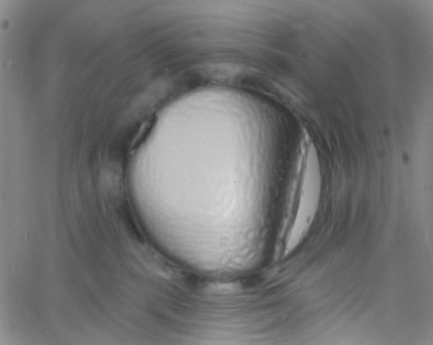 X0000060760283200512082016