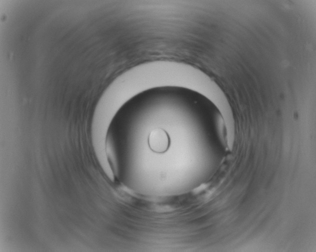 X0000060760287200512082016
