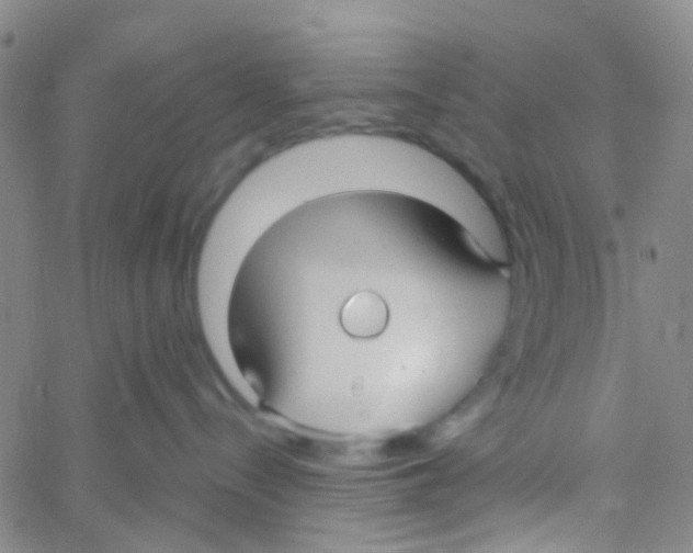 X0000060760288200512082016