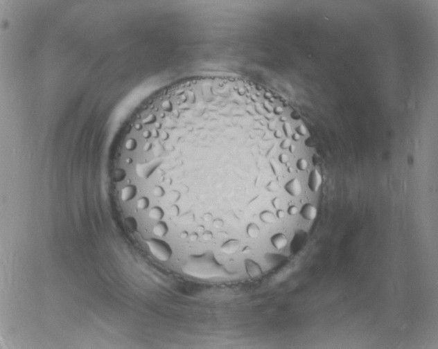 X0000060760294200512082015