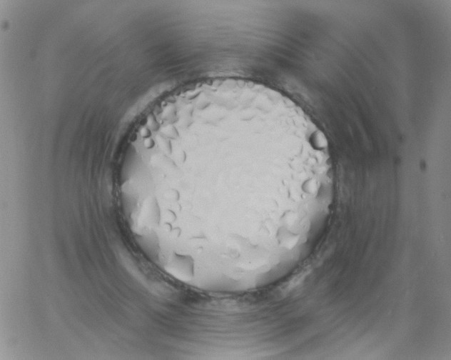 X0000060760298200512082015
