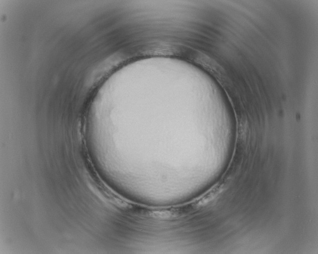 X0000060760302200512082015