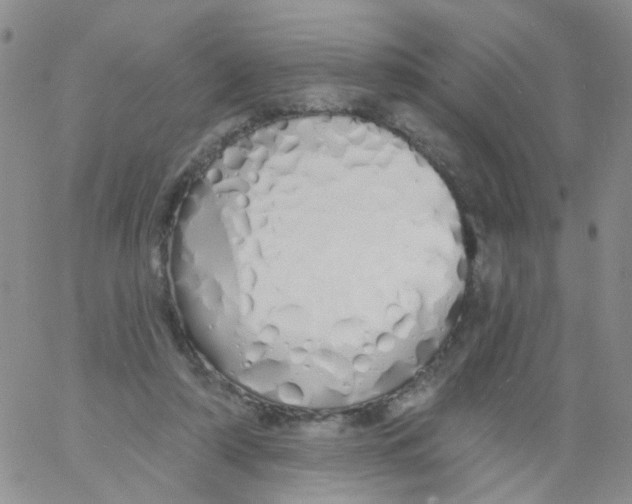 X0000060760306200512082015