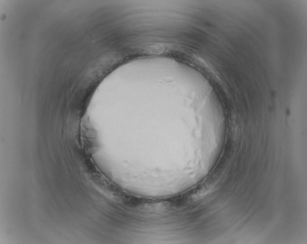 X0000060760307200512082015