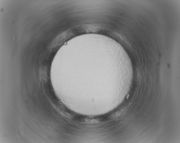 X0000060760311200512082015