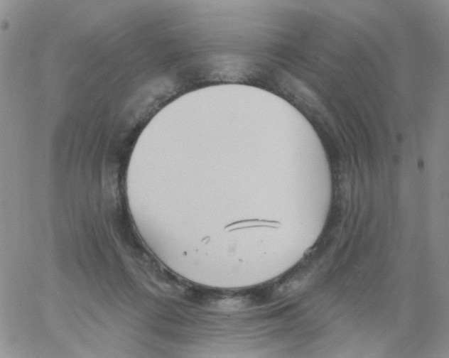 X0000060760312200512082015