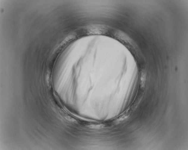 X0000060760314200512082015