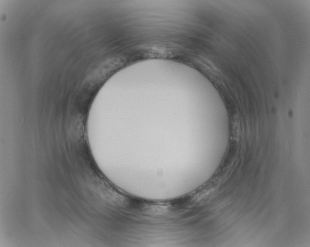 X0000060760318200512082015