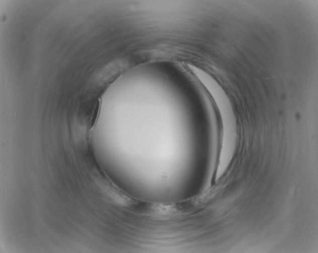 X0000060760333200512082014