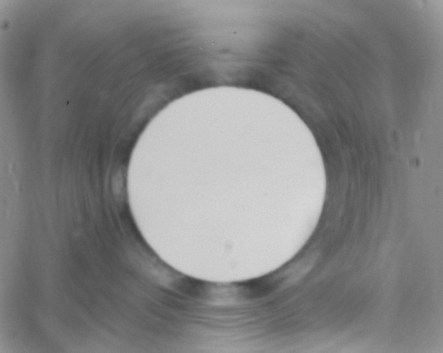 X0000060760336200512082014