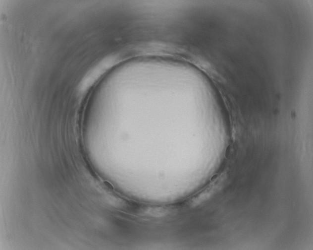 X0000060760341200512082014