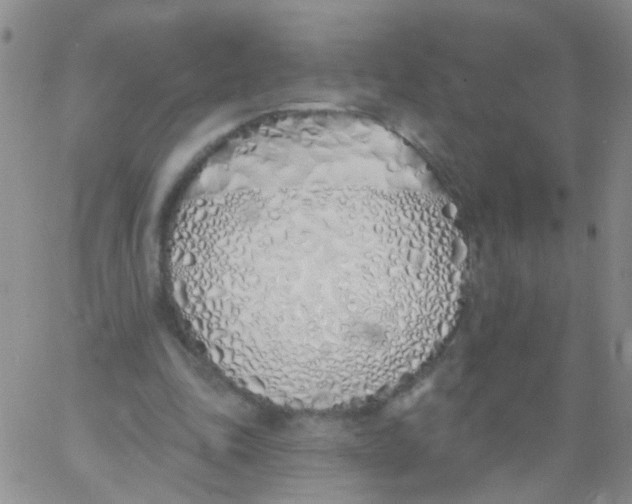 X0000060760343200512082014