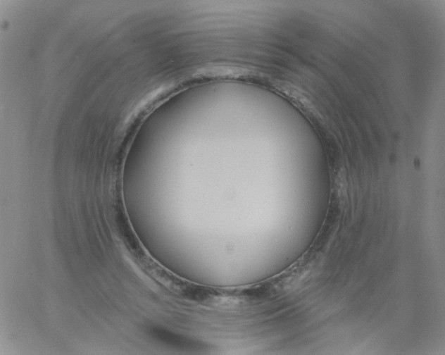X0000060760352200512082014
