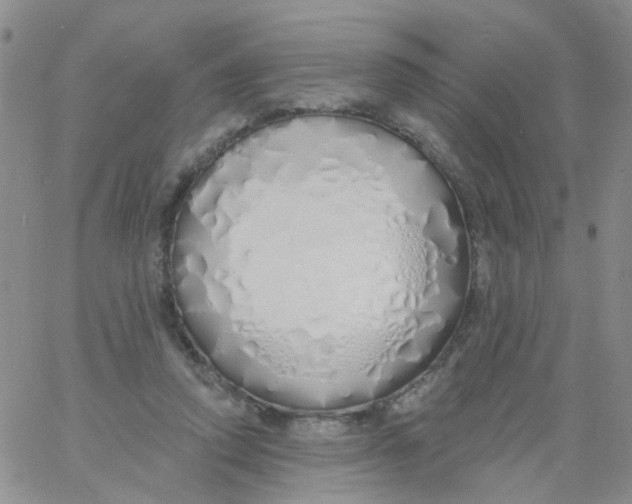 X0000060760354200512082014