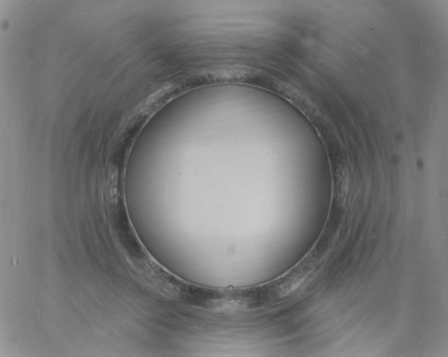 X0000060760356200512082014