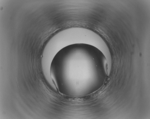 X0000060760359200512082014