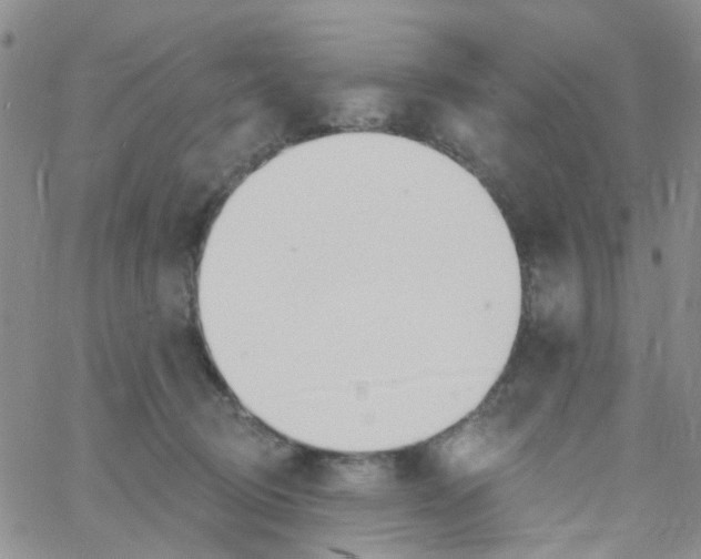 X0000060760370200512082014