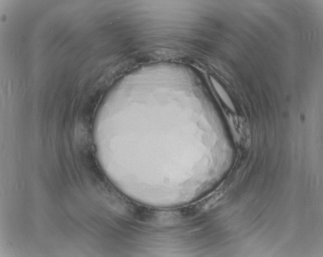 X0000060760371200512082014